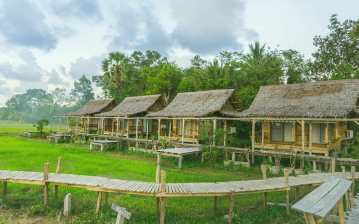 Bỏ phố về vườn làm Farm Stay: Cú ngã đau điếng 1.2 tỷ và 4 bài học không thể bỏ qua!